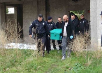 ‘Bilgisayar oyunu’ cinayeti: Öldürülen 12, zanlı 13 yaşında