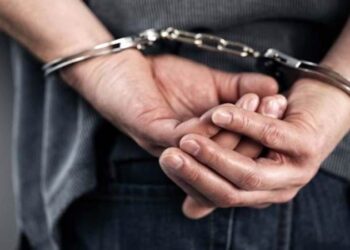 Interpol tarafından aranan Rus vatandaşı Mersin’de yakalandı