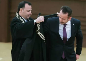 AYM üyesi ‘karınca-fil’ göndermeli Can Atalay paylaşımını sildi