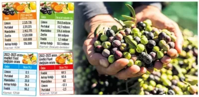 Tarımda rakamlar alt üst! Zeytin, Antep fıstığı ve fındıkta alarm veriyor