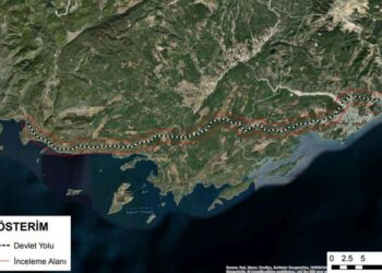 Talan aşkı ağaçları katlediyor! Kaş-Demre otoyolu için 66 bin ağaç kesilecek