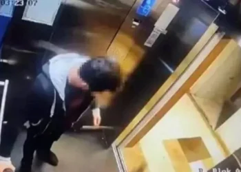 Asansördeki kediyi vahşice öldüren İbrahim Keloğlan yeniden yargılanacak