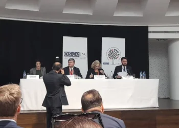 AGİT: Azerbaycan seçiminde ciddi usulsüzlükler var