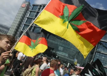Almanya’da esrar kullanımı suç olmaktan çıkıyor: Federal Meclis’te kabul edilen yasa tasarısı neler öngörüyor?