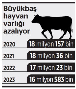 Türkiye’de hayvan sayısı her yıl azalıyor! Kriz besiciliği bitirdi
