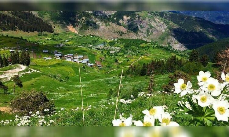 İliç’i zehirleyen Anagold’un sahipleri gözünü Artvin’in Hod Vadisi’ne dikti 1 İliç’i zehirleyen Anagold’un sahipleri gözünü Artvin’in Hod Vadisi’ne dikti