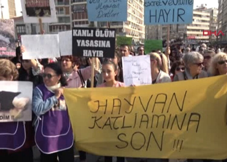 Duvara fırlatıp öldürdüğü kedi için dört yıl hapsi istendi 1 Duvara fırlatıp öldürdüğü kedi için dört yıl hapsi istendi