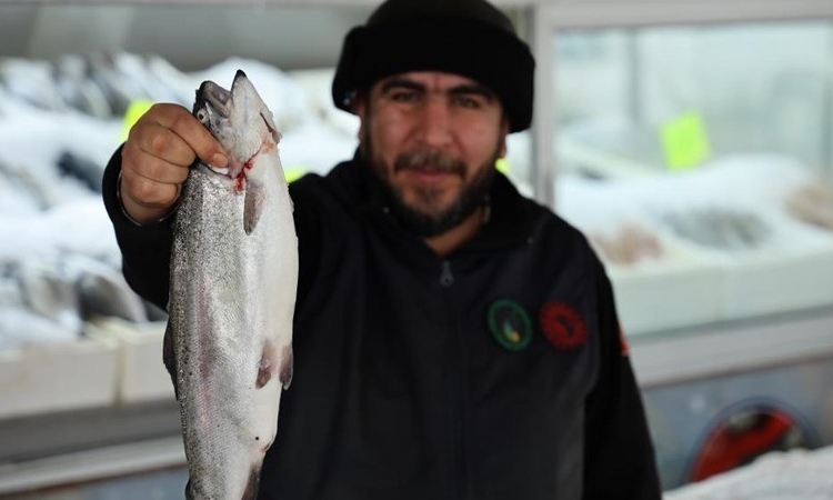 Denizi olmayan Kahramanmaraş, balıkçılıkta zirvede: Yılda 6 ton balık üretiliyor