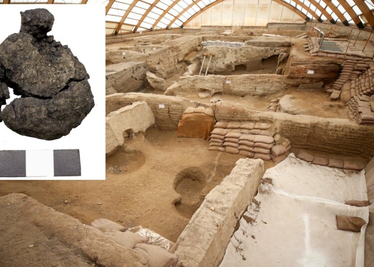 Çatalhöyük'te dünyanın en eski ekmeği bulundu: 8 bin 600 yıllık 1 Çatalhöyük’te dünyanın en eski ekmeği bulundu: 8 bin 600 yıllık