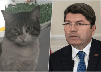 Adalet Bakanı Tunç, Eros için kanuna sığındı: En yüksek ceza verildi 10 Adalet Bakanı Tunç, Eros için kanuna sığındı: En yüksek ceza verildi