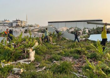 Hortum seraları parçaladı, ağaçları kökünden söktü