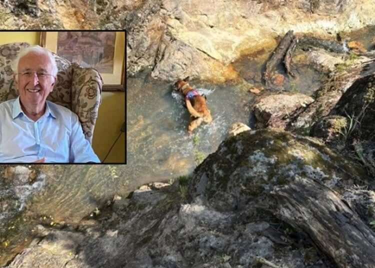 Korhan Berzeg'in kafatasına ait parça bulundu 1 Korhan Berzeg’in kafatasına ait parça bulundu