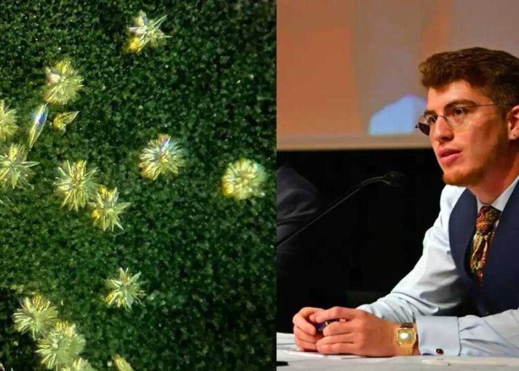 Türk fizikçiye Harvard’dan büyük ödül: 4 milyar yıl önce yaşamın nasıl başladığına dair gizemi ortaya çıkardı