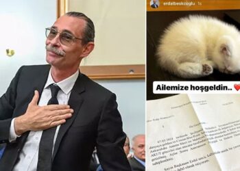Erdal Beşikçioğlu depremzede kedinin yavrusunu sahiplendi