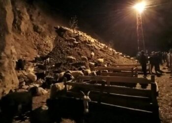 Hakkari’de heyelan: Koyunlar toprak altında kaldı