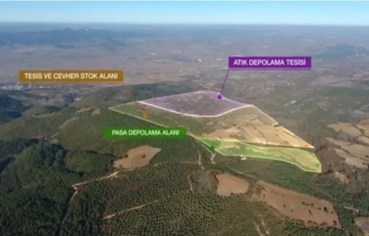 Davanın neticelenmesini beklemeden ormanı kırdılar 1 Davanın neticelenmesini beklemeden ormanı kırdılar