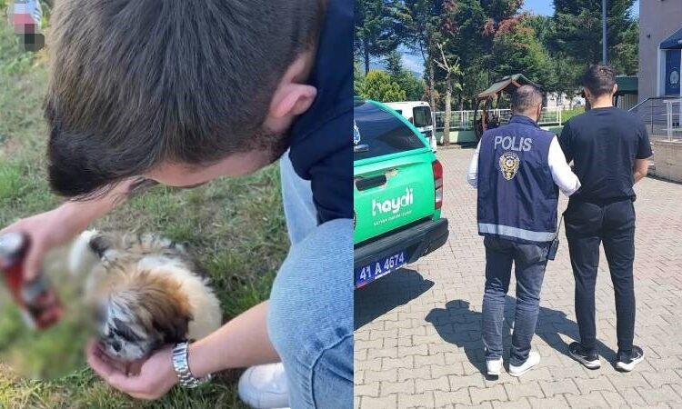 Köpeğe alkol içirip, sosyal medyada paylaştı! 1 Köpeğe alkol içirip, sosyal medyada paylaştı!