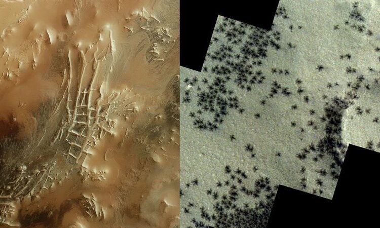 Mars’ta örümcekleri andıran izler tespit edildi 1 Mars’ta örümcekleri andıran izler tespit edildi