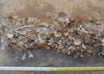 Kafaları kesilmiş 450 iskeletin yer aldığı toplu mezar tüyleri ürpertti