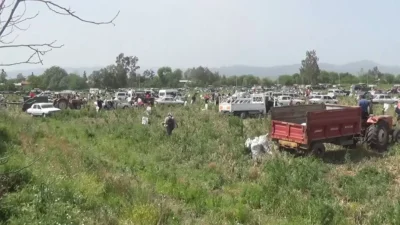 Soğanı tüccara satamayınca bedava yaptı vatandaşlar tarlaya akın etti