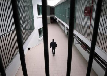 Türkiye’de ceza infaz sisteminin iki temel sorunu: Cezasızlık algısı ve cezaevi popülasyonu