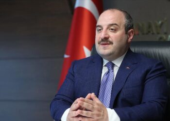 Mustafa Varank, sokak hayvanları tasarısına olumlu bakıyor: Uyutma dahil tüm önerileri destekleyeceğim