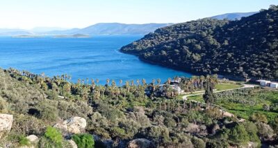 Bodrum’un Cennetkoy’unu betona dönüştürme sırası Stay ve Hattat'ta