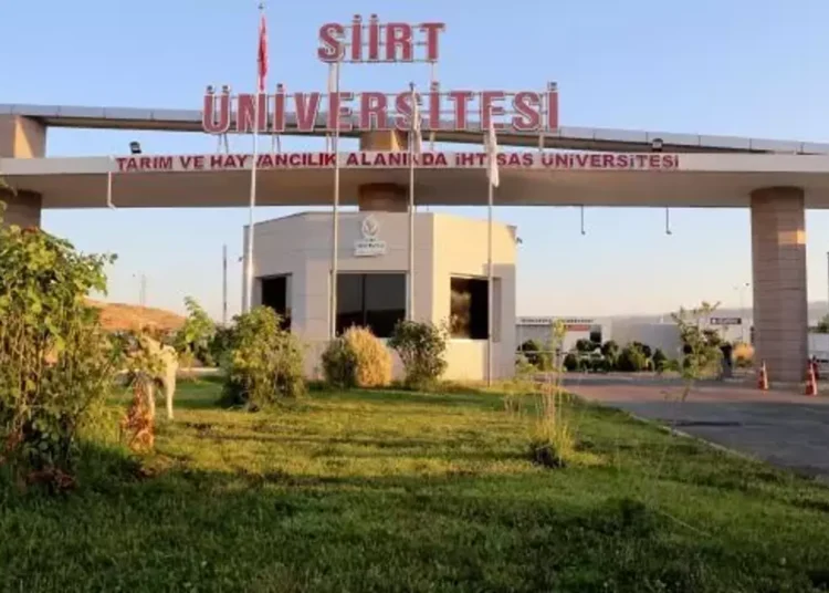 Akademik dolandırıcılık: Öğretim üyesi, rektörünün imzasını taklit etti, milyonlarca lira ile kayıplara karıştı 1 Akademik dolandırıcılık: Öğretim üyesi, rektörünün imzasını taklit etti, milyonlarca lira ile kayıplara karıştı