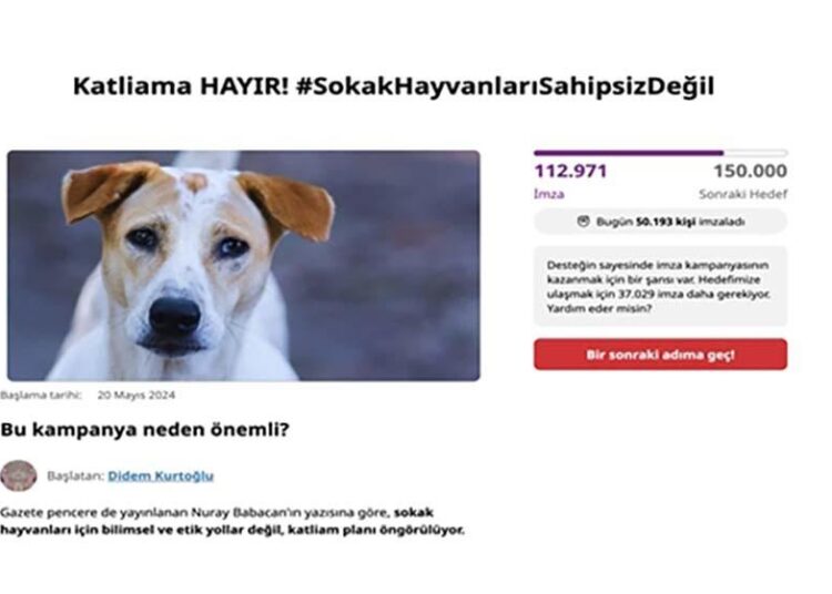 Sokak hayvanları için iki günde 100 binin üzerinde imza toplandı 1 Sokak hayvanları için iki günde 100 binin üzerinde imza toplandı