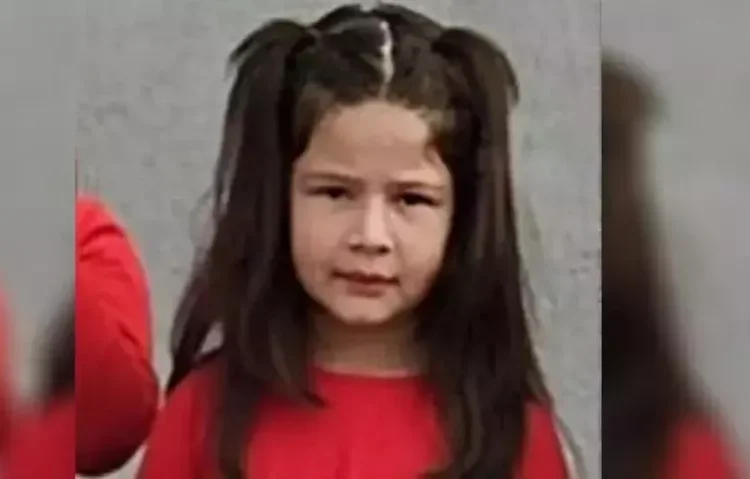 Düzce’de nefes borusuna erik kaçan 7 yaşındaki çocuk yaşamını yitirdi 1 Düzce’de nefes borusuna erik kaçan 7 yaşındaki çocuk yaşamını yitirdi