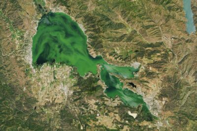 NASA'nın paylaşımı korkuya sebep oldu: Gölde alg patlaması yaşanıyor 2 NASA'nın paylaşımı korkuya sebep oldu: Gölde alg patlaması yaşanıyor