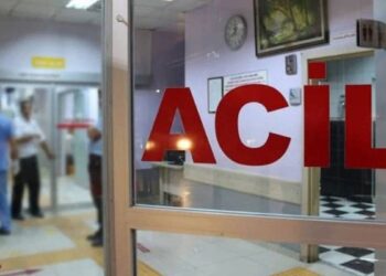 Kalp krizi geçirirken bıçağın üzerine düşen şahıs öldü