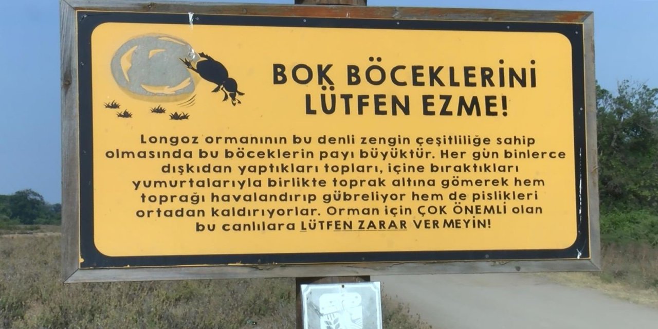 Gübre böcekleri devlet koruması altında 2 Gübre böcekleri devlet koruması altında