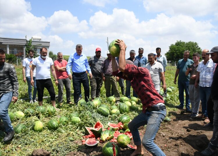 Türk çiftçisini bitir, dışarıdan ithal et 1 Türk çiftçisini bitir, dışarıdan ithal et