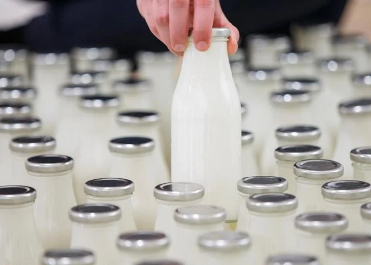Türkiye’nin dev süt şirketi iflas etti! Fabrika icradan satışa çıktı