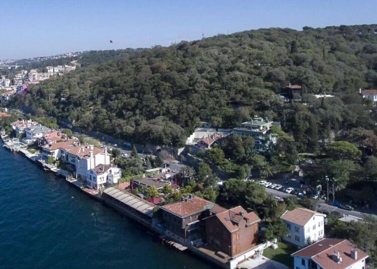 Fethipaşa Korusu’nun bitişiğindeki yeşil alana da göz diktiler 1 Fethipaşa Korusu’nun bitişiğindeki yeşil alana da göz diktiler