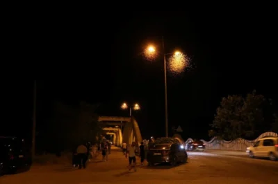 Sakarya’da binlerce beyaz kelebeğin ‘ölüm uçuşu’ başladı