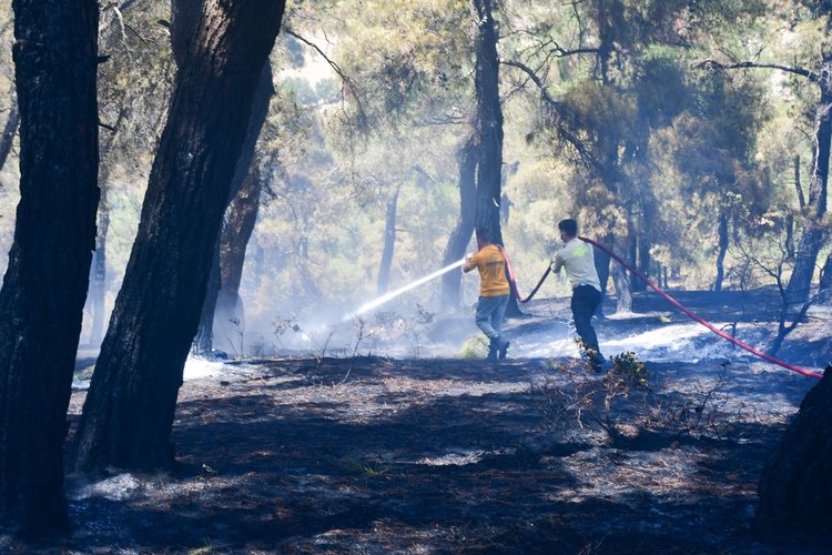 Çeşme ve Menderes yangınlarının nedeni belli oldu