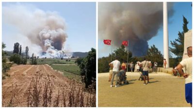 Eceabat’ta orman yangını