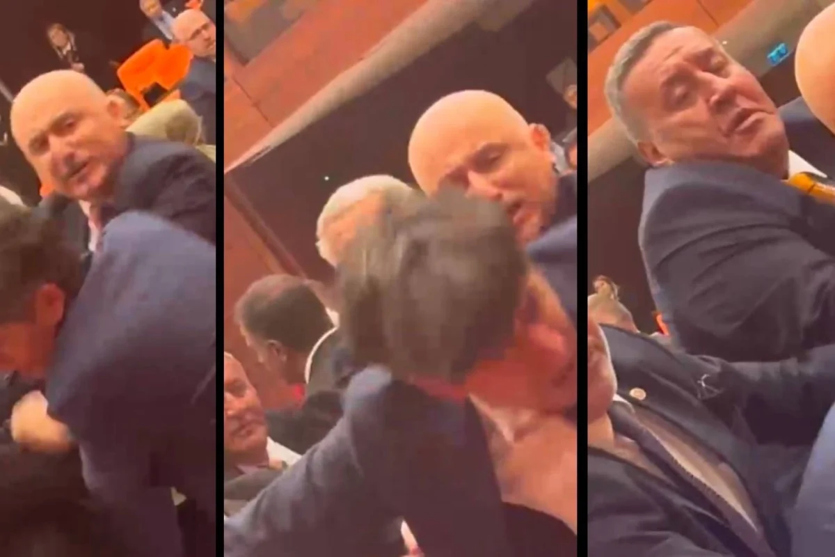 Mercan Bulut yazdı l Meclis’te milletvekilleri kavga ederse…