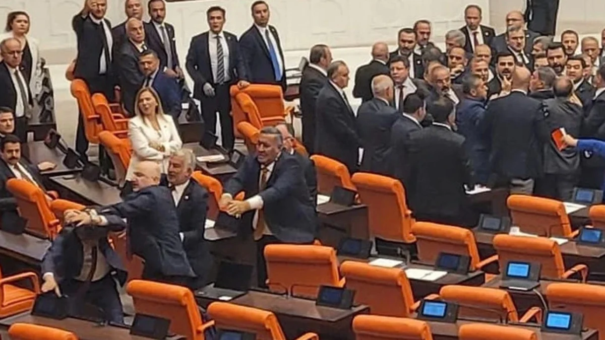 Mercan Bulut yazdı l Meclis’te milletvekilleri kavga ederse…