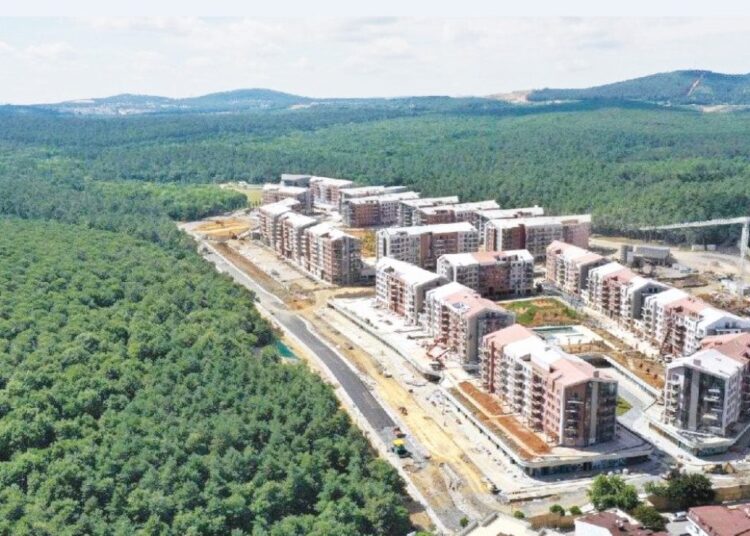 Tek imzayla 2 milyon metrekarelik alan, orman vasfından çıkarıldı 1 Tek imzayla 2 milyon metrekarelik alan, orman vasfından çıkarıldı