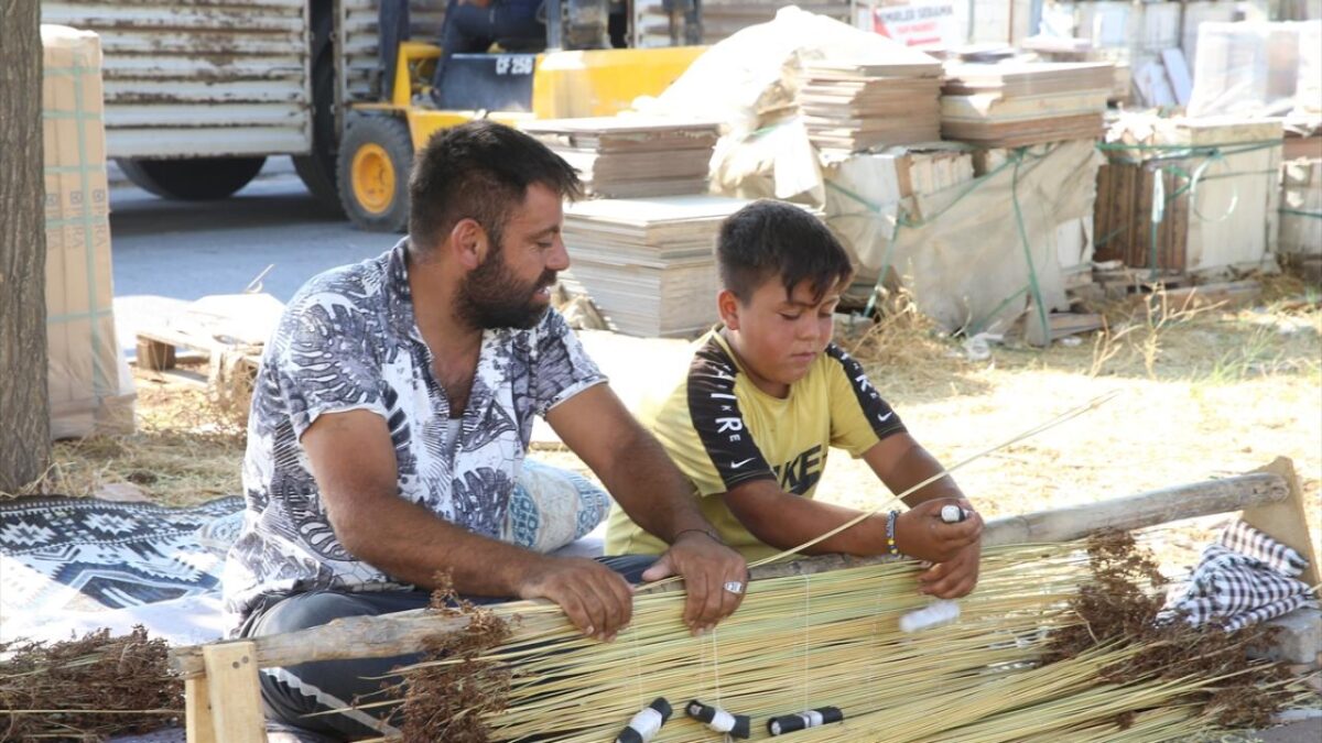 Kahramanmaraş'ta mevsimlik işçiler ‘çiğ’ mesaisinde