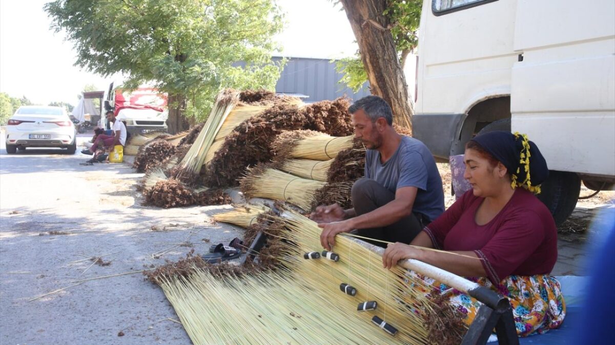Kahramanmaraş'ta mevsimlik işçiler ‘çiğ’ mesaisinde