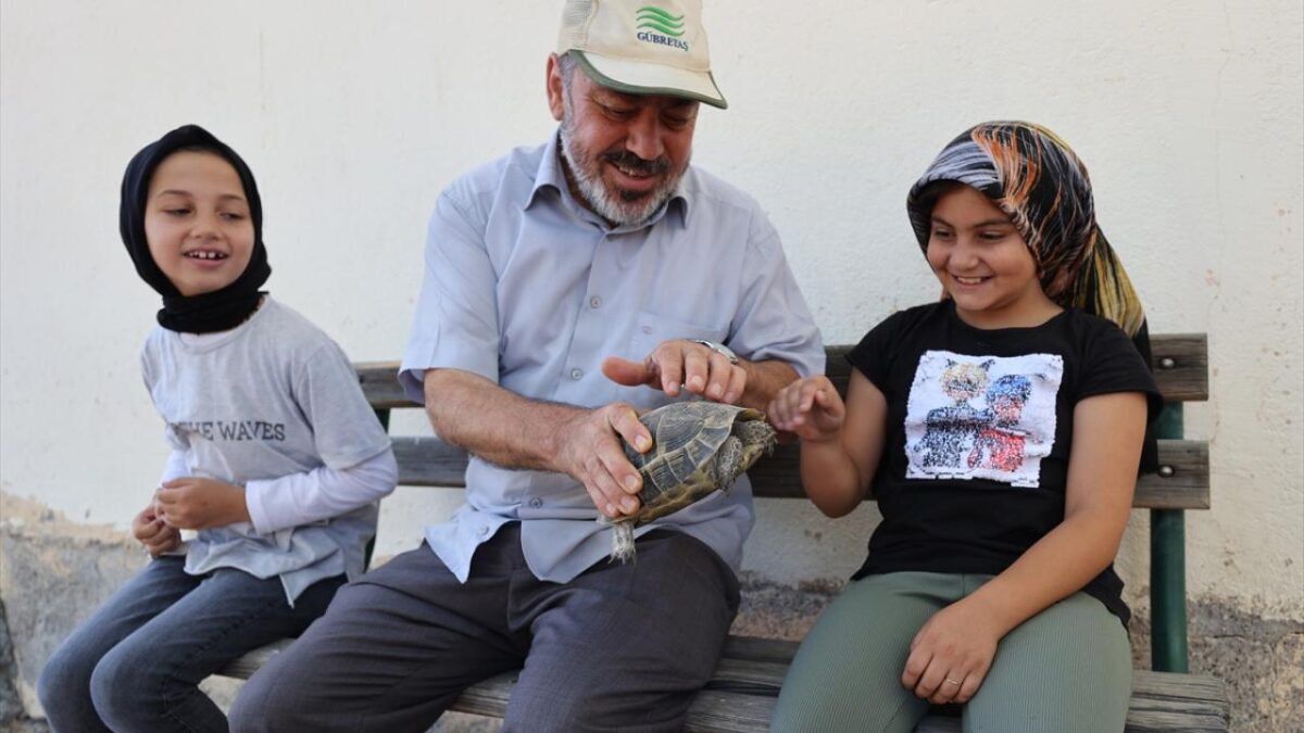 Acıgöl’ün ‘kaplumbağa terbiyecisi’ cami bahçesinde 30 kaplumbağa besliyor 6 Acıgöl’ün ‘kaplumbağa terbiyecisi’ cami bahçesinde 30 kaplumbağa besliyor