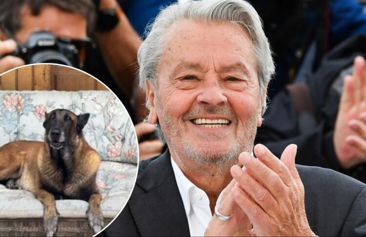 Ailesi, Alain Delon’un vasiyetini yerine getirmeyecek 1 Ailesi, Alain Delon’un vasiyetini yerine getirmeyecek