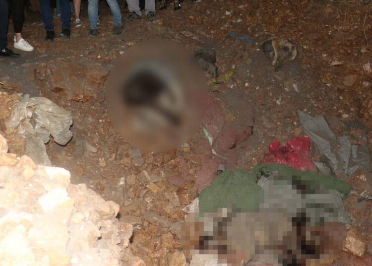 Ankara Altındağ’da köpek katliamı: Soruşturma başlatıldı
