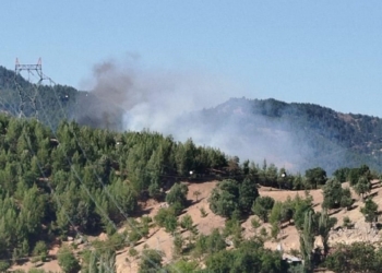 Adana'da yangına müdahale için barajdan su alan helikopter düştü 10 Adana’da yangına müdahale için barajdan su alan helikopter düştü