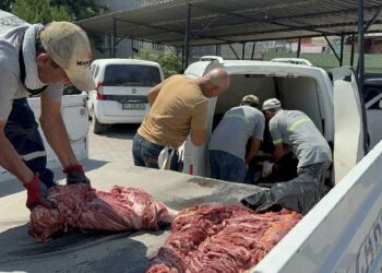 Adana’da 1,5 ton at ve eşek eti ele geçirildi