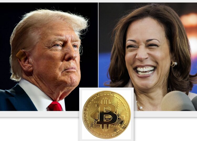 Trump mı Harris mi? Anketlerde fark açıldı, Bitcoin sert düştü 1 Trump mı Harris mi? Anketlerde fark açıldı, Bitcoin sert düştü